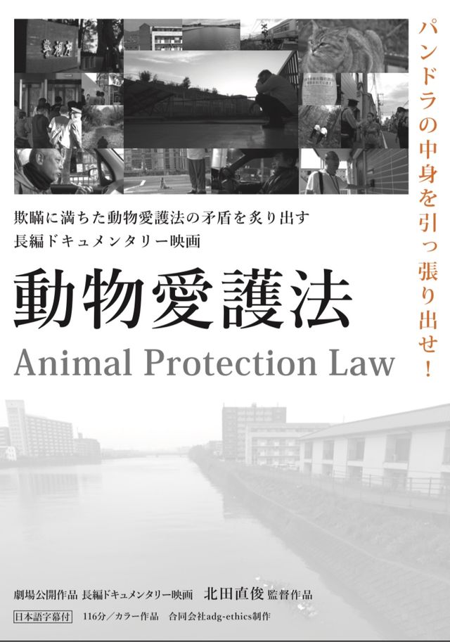 動物愛護法