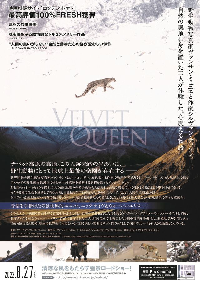 映画『ベルベット・クイーン　ユキヒョウを探して』の画像（3枚目）