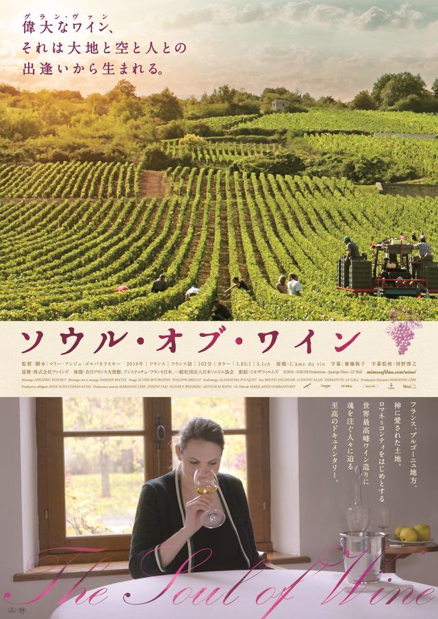 映画『ソウル・オブ・ワイン』の画像（2枚目）