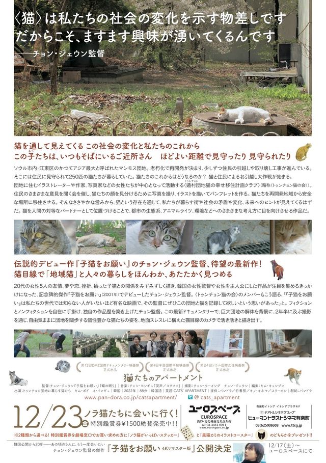 映画『猫たちのアパートメント』の画像（3枚目）