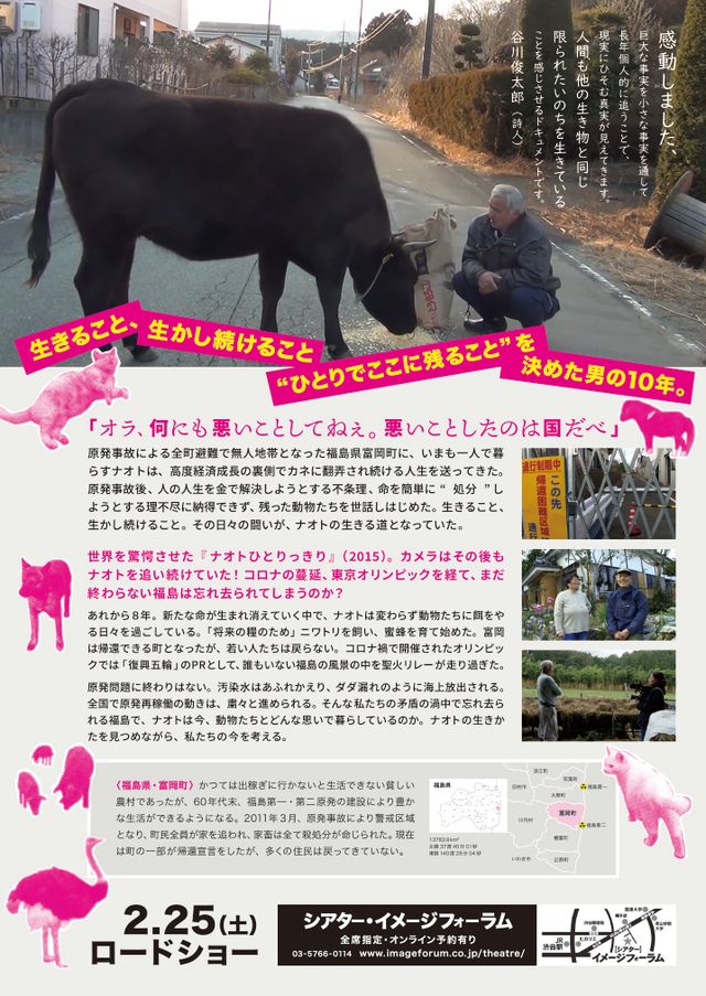 映画『劇場版　ナオト、いまもひとりっきり』の画像（3枚目）