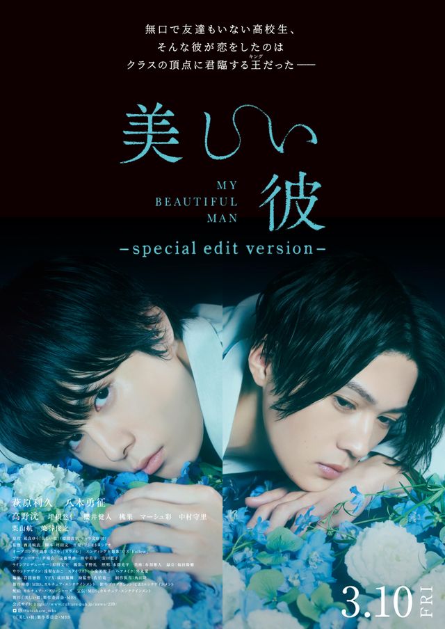 美しい彼 シーズン２＆special edit version Blu-ray