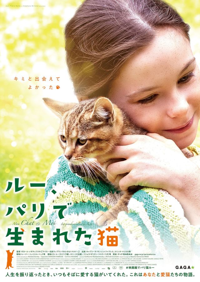 映画『ルー、パリで生まれた猫』の画像（2枚目）