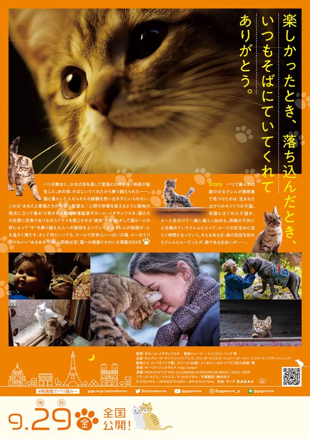 ルー、パリで生まれた猫