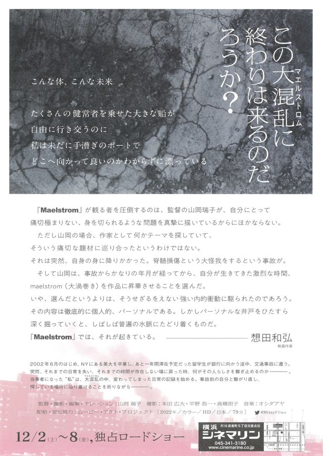 映画『Maelstrom マエルストロム』の画像（3枚目）