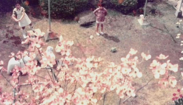 Maelstrom マエルストロム