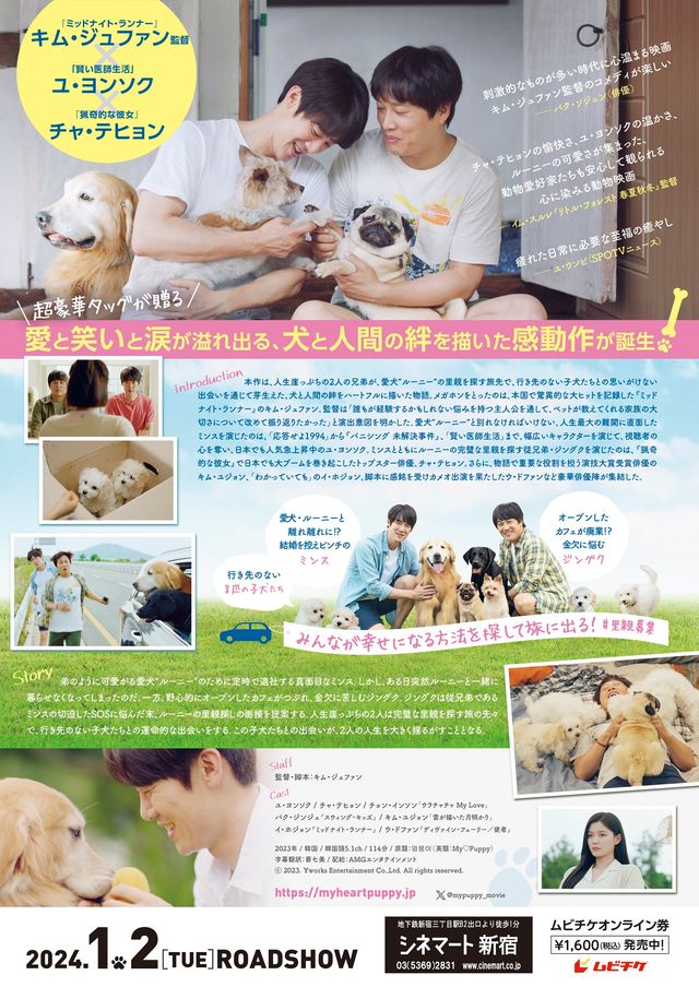 映画『マイ・ハート・パピー』の画像（3枚目）