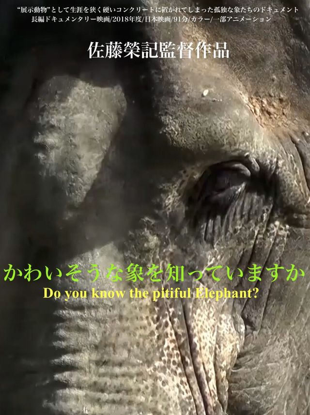 かわいそうな象を知っていますか
