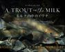 ミルクの中のイワナ