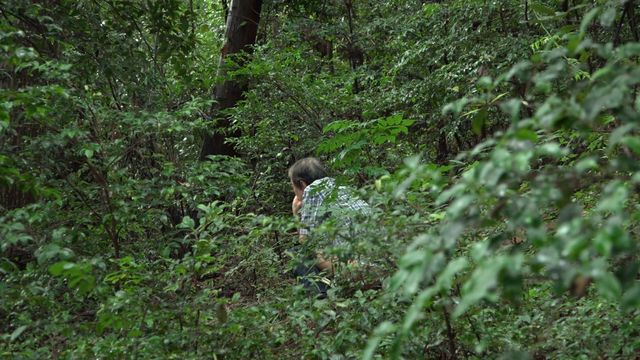 うんこと死体の復権