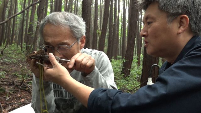 うんこと死体の復権