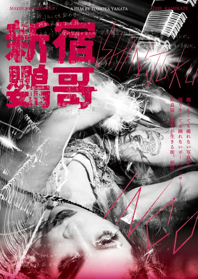 映画『新宿鸚哥』の画像（2枚目）