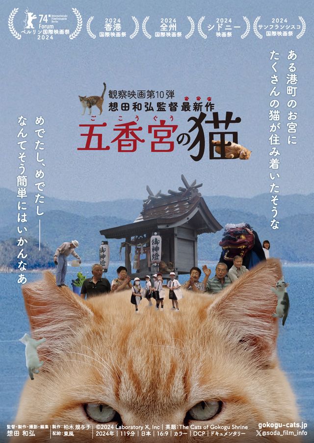 映画『五香宮の猫』の画像（2枚目）