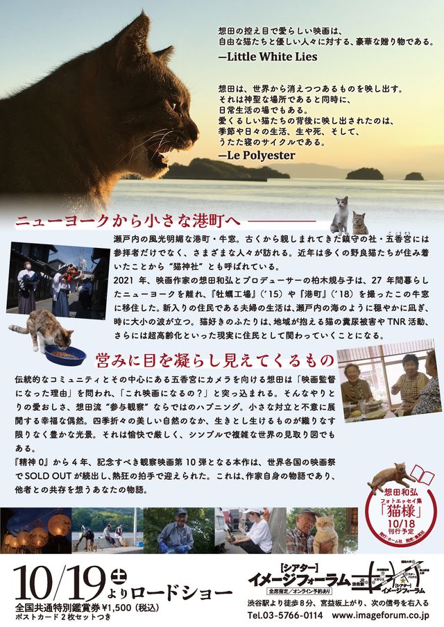 映画『五香宮の猫』の画像（3枚目）