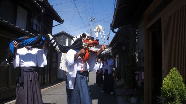 五香宮の猫