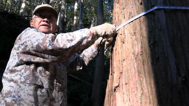 山里は持続可能な世界だった