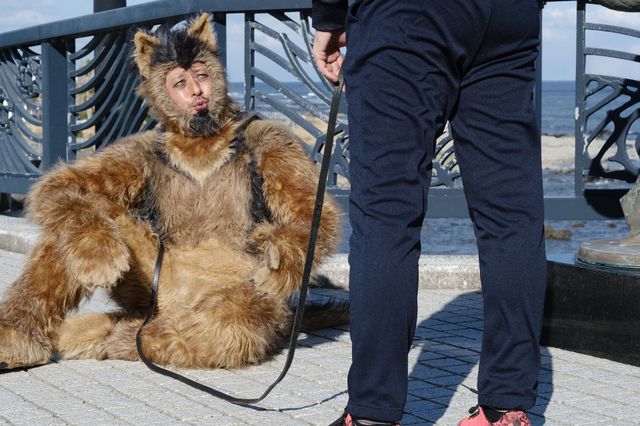 映画『THE オリバーな犬、(Gosh!!)このヤロウ MOVIE』の画像（4枚目）