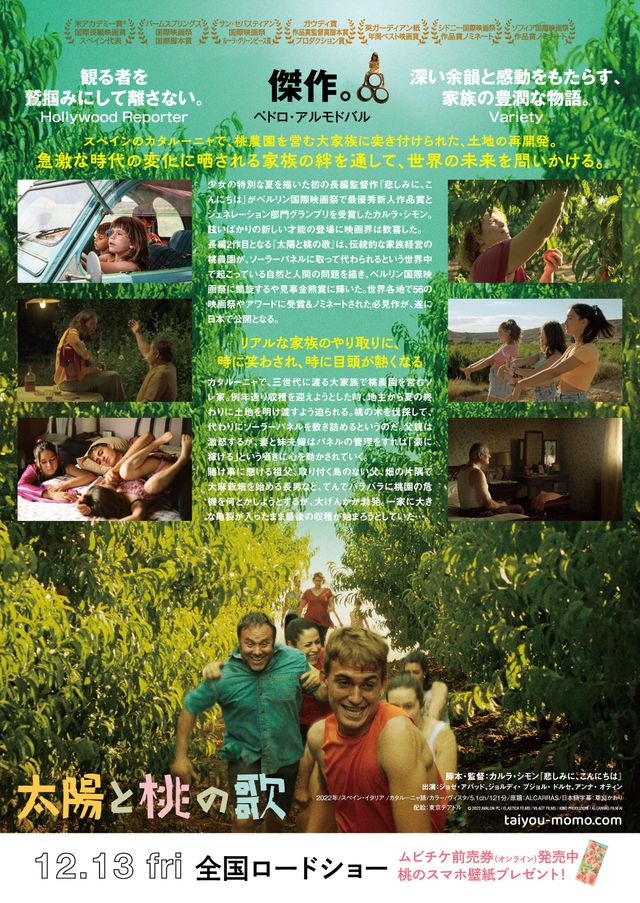 映画『太陽と桃の歌』の画像（3枚目）
