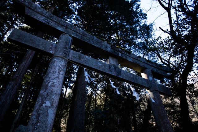 映画『近畿地方のある場所について』の画像（8枚目）