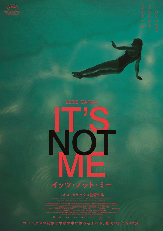映画『IT'S NOT ME イッツ・ノット・ミー』の画像（2枚目）