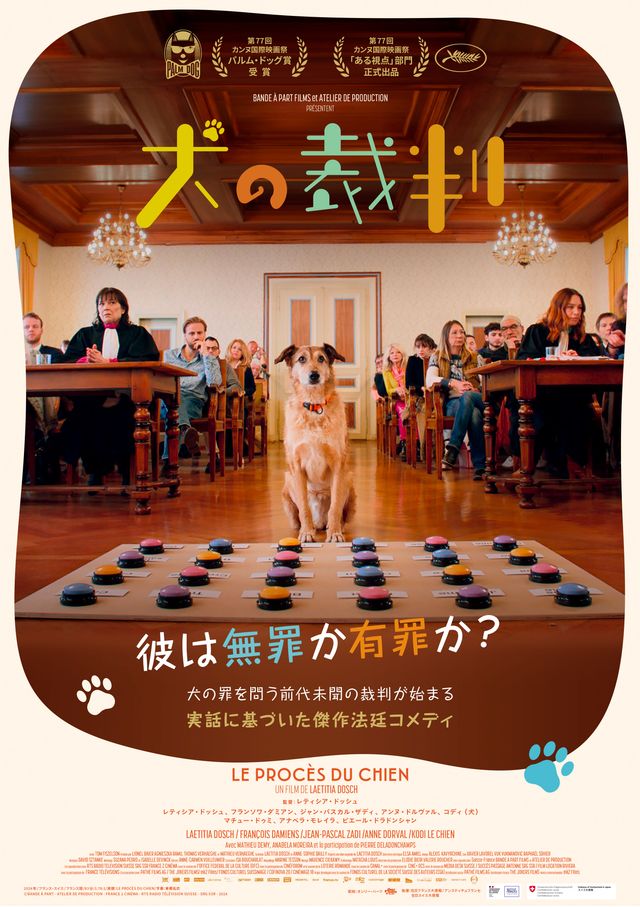 犬の裁判
