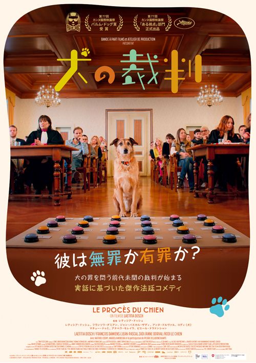 映画『犬の裁判』の画像（2枚目）