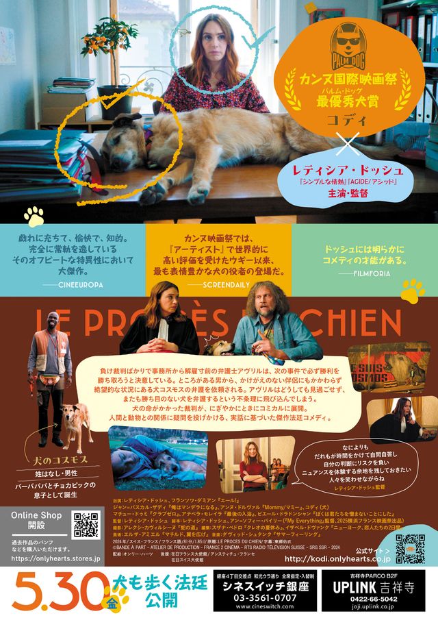 映画『犬の裁判』の画像（3枚目）