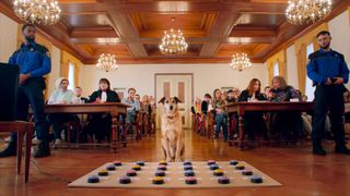 犬の裁判