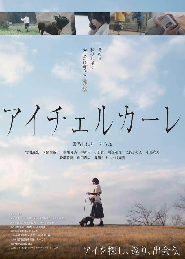 映画『アイチェルカーレ』の画像（2枚目）