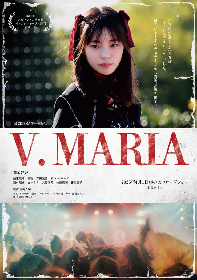 映画 VHS マリア・ブラウンの結婚　ギャルソン　他　DVDではございません 映画 VHS マリア・ブラウンの結婚ギャルソン他DVDではございません