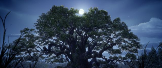 映画『クスノキの番人』の画像（10枚目）