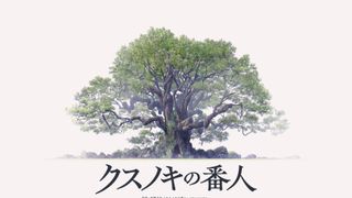 クスノキの番人