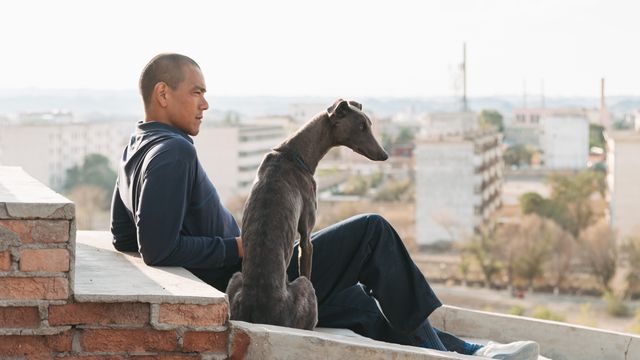 映画『ブラックドッグ』の画像（8枚目）