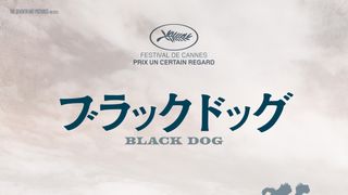 ブラックドッグ