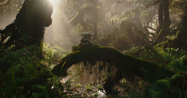 映画『スター・ウォーズ／マンダロリアン・アンド・グローグー』の画像（5枚目）