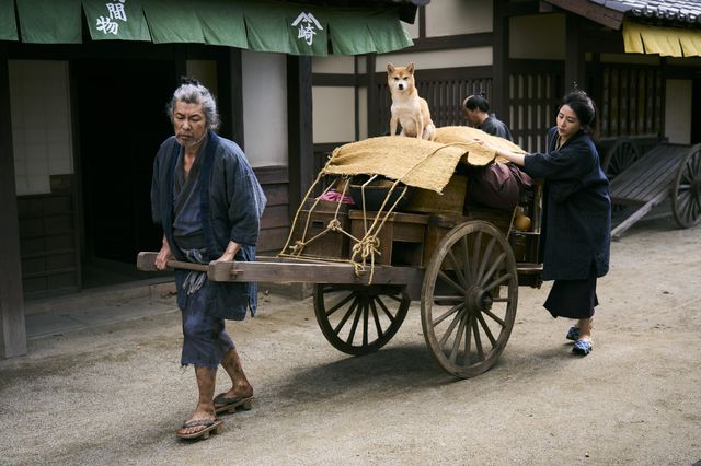 映画『おーい、応為』の画像（7枚目）