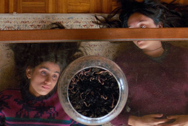 映画『九月と七月の姉妹』の画像（5枚目）