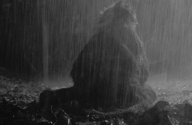 映画『メイソウ家族』の画像（9枚目）