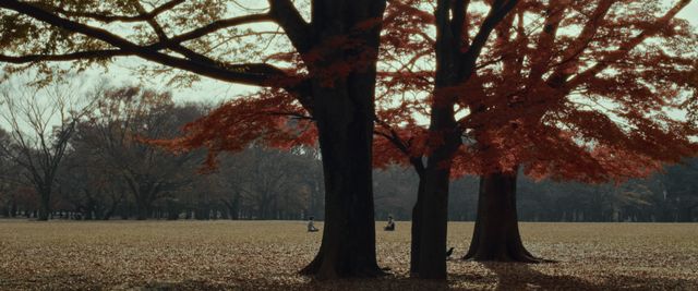 映画『YOYOGI』の画像（21枚目）