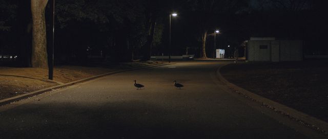 映画『YOYOGI』の画像（26枚目）