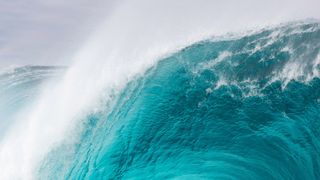 フェイシング・モンスターズ