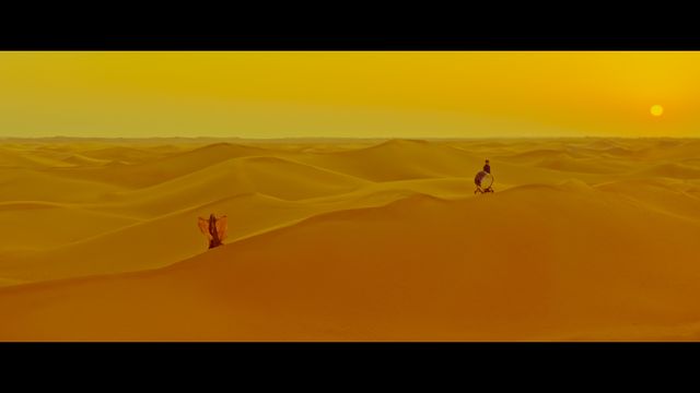 映画『ハンス・ジマー＆フレンズ：ダイアモンド・イン・ザ・デザート』の画像（8枚目）