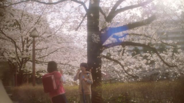 映画『秒速5センチメートル』の画像（7枚目）