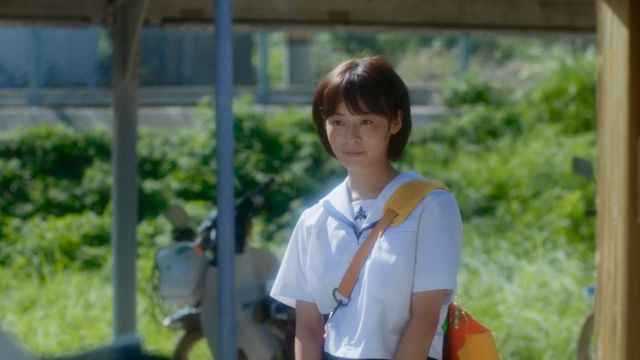 映画『秒速5センチメートル』の画像（13枚目）