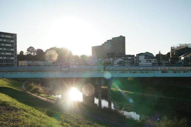 映画『平場の月』の画像（20枚目）