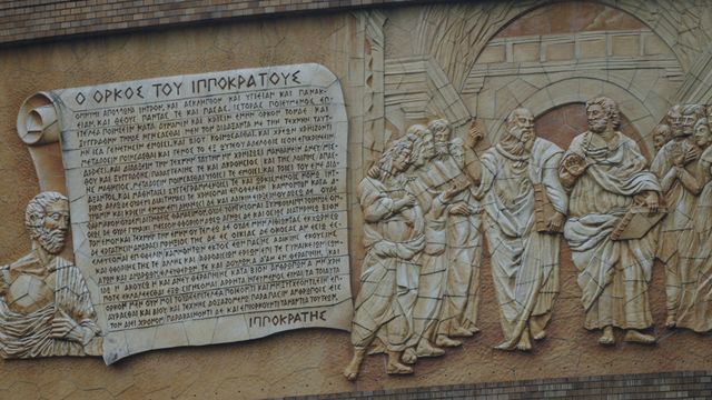 映画『ヒポクラテスの盲点』の画像（14枚目）