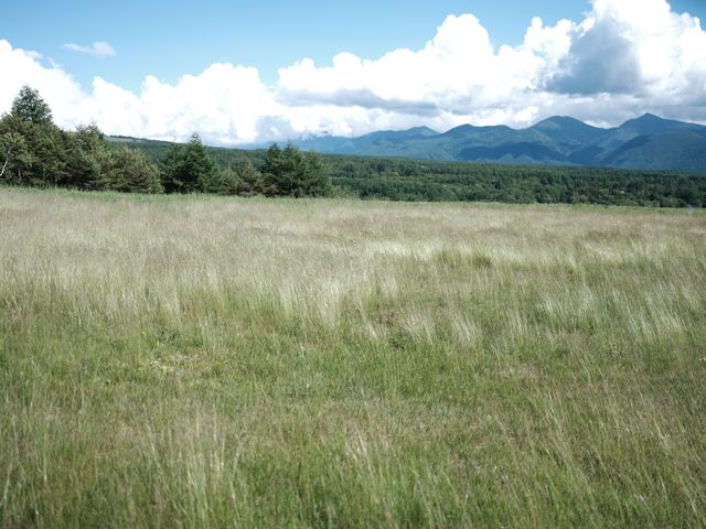 映画『わたのはらぞこ』の画像（15枚目）