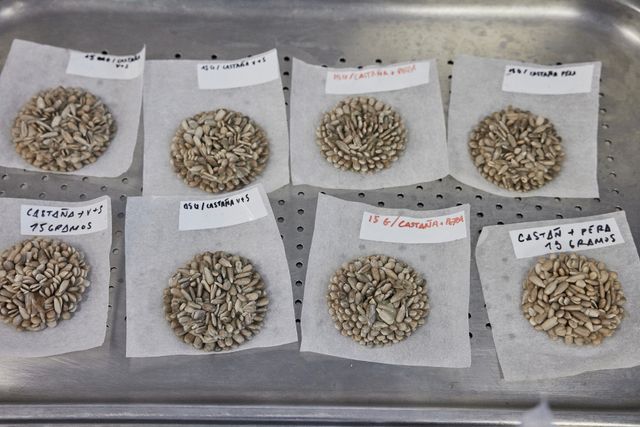 映画『ムガリッツ』の画像（8枚目）