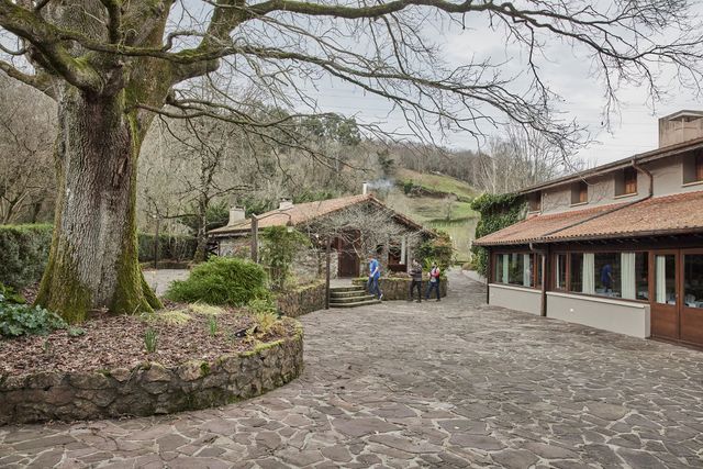 映画『ムガリッツ』の画像（7枚目）