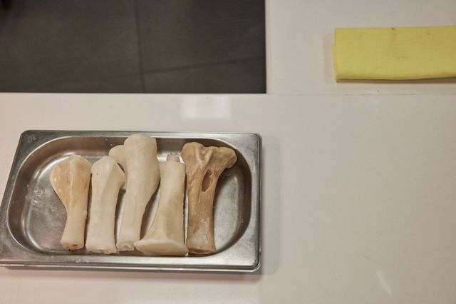 映画『ムガリッツ』の画像（17枚目）